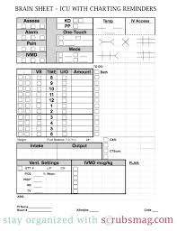 Such documents are often especially helpful when you are giving and receiving report on patients to other nurses or healthcare professionals. Nurse Brain Sheet Icu