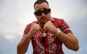 Πέτρος αναστασόπουλος, γεννήθηκε το 1989 στη νέα υόρκη) είναι έλληνας ράπερ. O Madclip Se Mia Monadikh Synaylia