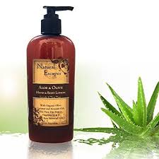 Natural Escapes Lavender Aloe Olive Hand Body Lotion Rich Moisturizer For Dry Skin Olive Oil Coconut Oil Lotion For Dry Skin Hand Body Lotion Lavender Lotion