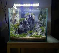Q:aquarium ane ukurannya 60x40x40c, kira2 bisa ga unutk setting aquascape?? Aquascape Ideas Aquascape Tank Nano
