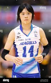 Haruka Miyashita (Seagulls), DECEMBER 12 , 2013 - Volleyball : 2013  Emperor's Cup and Empress's Cup All Japan Volleyball Championship women's  match between Okayama Seagulls 3-1 National Institute of Fitness and Sports