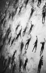 Art Black And White Photography People Photography Black And White Shadows Water 51 Ideas Photography White Photography Underwater Photography Black And White Photography