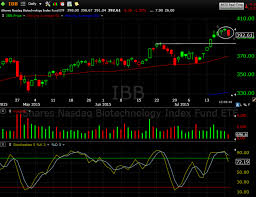 the market speculator stock chart of the day ibb