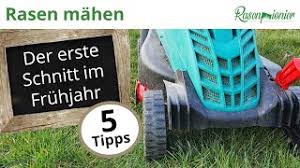 M ein rasen ist sehr hoch im garten und ist auch nass feucht. Rasen Mahen Der Erste Schnitt Im Fruhjahr 5 Tipps Youtube