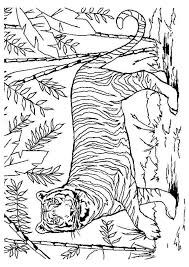 La girafe est une espèce de mammifère ongulé, vivant dans la savane africaine. Epingle Par Hugo L Escargot Sur Deguisement Coloriage Jungle Coloriage Tigre Coloriage Inde