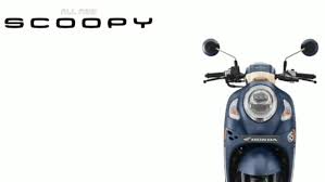 We did not find results for: Honda Scoopy 2021 Resmi Dirilis Harga Rp 20 Jutaan Sudah Keyless Warungasep