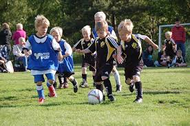 Rätt fint skick med lättare slitage, baksidan med skada. Laholms Fk Svenskalag Se