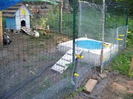 pin by แม ผ กกาด ร กในหลวง on farm ideas duck coop chickens backyard duck pond