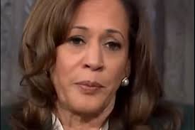 Kamala Harris says her husband Doug 'dropped the ball'