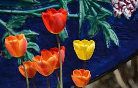 You can enjoy garden view from the room. Tulips Tbr News Media