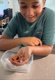 What type of animal lives in the hot area?