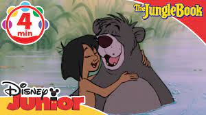 Bare necessities can help you find the perfect bra, shape up your shapewear wardrobe, and check barenecessities.com/sp626 for additional savings. The Jungle Book The Bare Necessities Song Disney Junior Uk Youtube