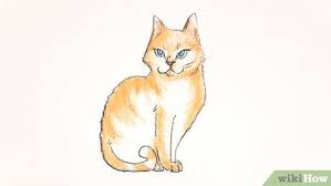 Begin with a circle for the cat's head, then draw out the body shape and for this cat he/she is laying down relaxing. 4 Ways To Draw A Cat Wikihow