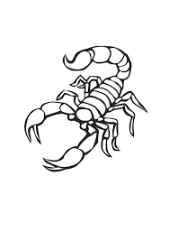 14 excellent coloriage scorpion images interactif dessin tigre