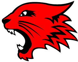 Arizona wildcats logo png while the arizona wildcats logo has gone through several transformations, it has remained consistent in its core for almost half a century. High School Musical Wildcats Logos