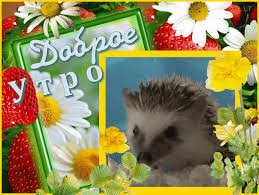 Jun 28, 2021 · телеканал «доброе утро» 09:50 темы выпуска: Otkrytki S Dobrym Utrom Clipartis Jimdo Page Skachat Besplatno Foto Kartinki Oboi Risunki Ikonki Kliparty Shablony Otkrytki Animashki Ramki Ornamenty Bekgraundy