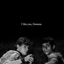 Newtmas Maze Runner Trilogy Maze Runner Funny Newt Maze Runner