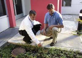 View ratings, photos, and more. Clark Pest Control Fremont Ca 94536 Yp Com