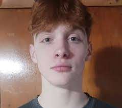 Meet the 32 Bay City area qualifiers heading to boys wrestling state finals 