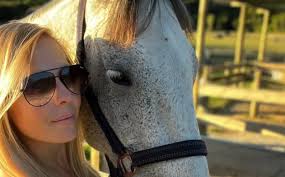 DOC warns of 'seal silly season' as juveniles roam