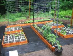 Small Square Foot Vegetable Garden Design Why I Am Hooked On Square Foot Gardening Square Foot Gardening Layout Square Foot Gardening Vegetable Garden Design