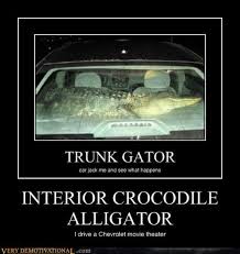 Image 538387 Interior Crocodile Alligator Crocodile Alligator Interior Design Programs