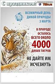 До конца года остаётся 303 дня. Pozdravleniya S Prazdnikom 3 Marta Vsemirnyj Den Dikoj Prirody 49 Foto Kartinki I Foto Prikoly Razvlekatelnyj Portal Yumor 72 Tv