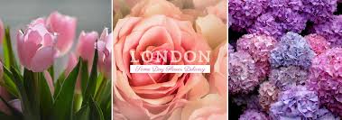 Maybe you would like to learn more about one of these? The 21 Best Options For Same Day Flower Delivery In London 2021