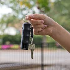 Pepper Spray Keychain Keep Your Loved Ones Safe Ten Buck Gifts