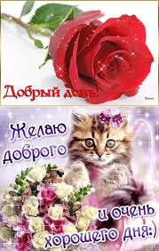 Maybe you would like to learn more about one of these? Skachajte Kartinki Otkrytki Pozhelaniya Dobrogo Utra Horoshego Dnya