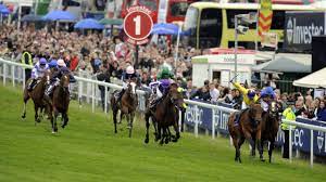 We've compiled a comprehensive guide to every runner in the epsom derby so you're in the know for saturday's big one. Who Comes Out On Top The Last 20 Epsom Derby Winners Ranked Horse Racing News Racing Post