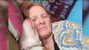 Woman killed by three dogs she was watching in Perry County