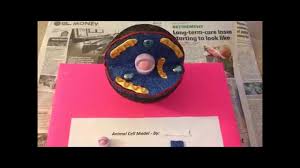 Cells are one of the important building blocks of living organisms. How To Make An Animal Cell Model Easily Youtube