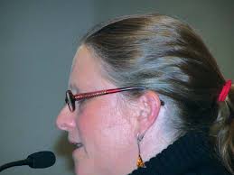 A mayor for Cape Cod?