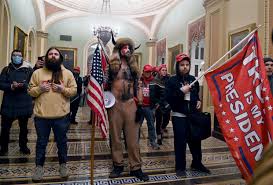Capitol was breached by a mob during a joint. Gwq071rvpwldum
