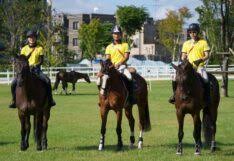 We did not find results for: Jnulcn O95ksqm