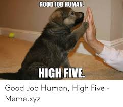 The best memes from instagram, facebook, vine, and twitter about great job. Good Job Human High Five Good Job Human High Five Memexyz Meme On Awwmemes Com