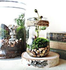 Moss Terrarium Kit Mason Jar Kit Terrarium Gift Set Diy Starter Kit How To Build A Terrarium Mason Jar Diy Mason Jar Crafts Diy Spring Decor