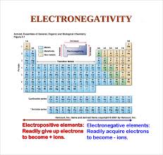 Sample Electronegativity Chart Template 13 Free Documents