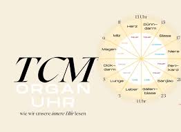 Gerät dieser rhythmus aus dem gleichgewicht, sind stress und überforderung die folge. Tcm Organuhr Wachst Du Deshalb In Der Nacht Auf