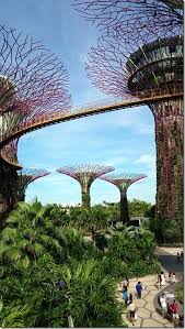 Gardens By The Bay Super Trees Grove Skyway Singapore Singapore Garden French Country Garden Butterfly Garden Design