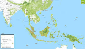 Location of tropical rainforests | teaching resources from d1uvxqwmcz8fl1.cloudfront.net many of the trees have straight trunks that don't branch out for 100 feet or more; Location Of Rainforests