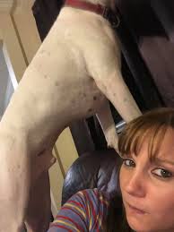 Rubble doesn't believe in personal space 🤣 he has to get right in your  face to love