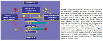 Dermatophytes Host Pathogen Interaction And Antifungal