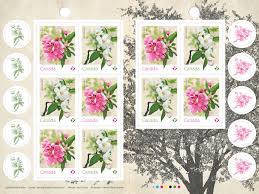 We did not find results for: Crabapple Blossoms Bright Delicate On New Two Stamp Set Canadian Stamp News