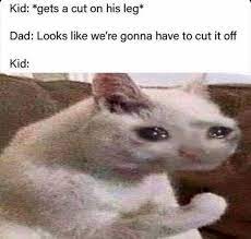 Will It Hurt Memes