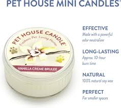 House of candles also specializes in hand carved candles, our in house candle carvers provide one of the largest hand carved candle selections available. 5 Best Dog Candles For Reducing Pet Odor