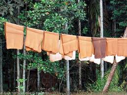 Image result for There is money in rubber plantation