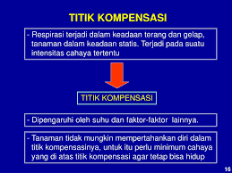 Respirasi intramolekul pada tumbuhan adalah. Ppt Respirasi Powerpoint Presentation Free Download Id 6958622