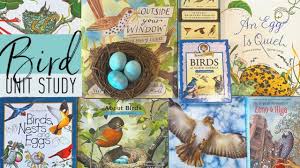 Others overview your favorite avian families, from puffins and peacocks to cranes and this simple, poetic children's book with bright and bold illustrations celebrates birds and their unique differences. How To Do A Bird Unit Study Pepper And Pine